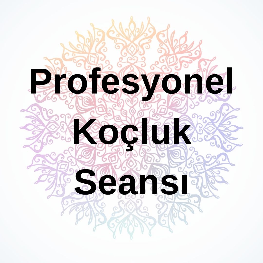 Profesyonel Koçluk Seansı